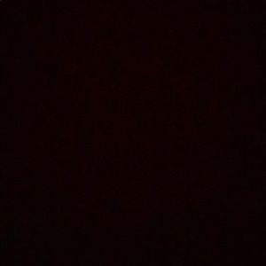 Meet your Posher, Connor